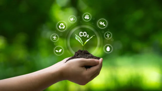 O que é a descarbonização e como começar essa jornada na sua empresa?