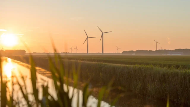 Auren é parceira da Microsoft na conquista de metas de desenvolvimento sustentável com energia renovável
