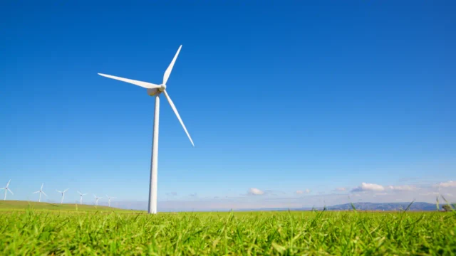Biomassa no Brasil e segurança energética: tendências e o futuro das usinas sucroenergéticas