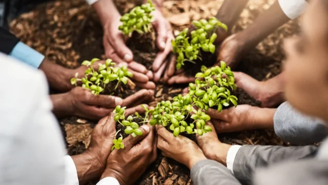 Conheça os novos compromissos de sustentabilidade 2030 da Auren