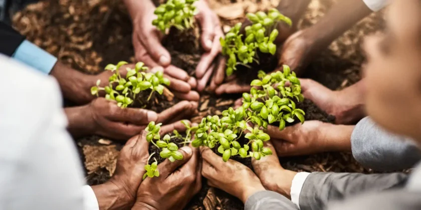 Conheça os novos compromissos de sustentabilidade 2030 da Auren