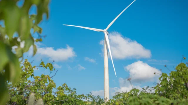 Auren e NEOOH: parceria garante compensação de emissões associadas ao consumo de energia das telas do circuito de mídia