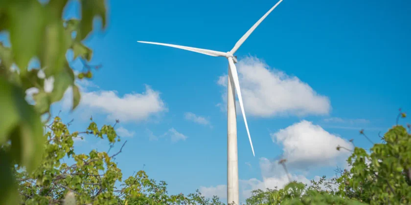 Auren e NEOOH: parceria garante compensação de emissões associadas ao consumo de energia das telas do circuito de mídia